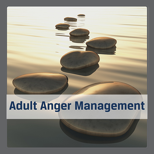 Adult Anger
